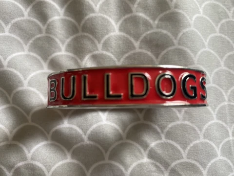 University of Georgia Bulldogs bangle Cover