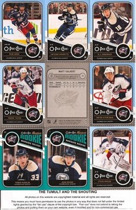 2011-12 OPC O-Pee-Chee Columbus Blue Jackets Complete Team Set w/ Leaders (17)
