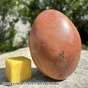 Polychrome Jasper Palm Stone Worry Stone Crystal Healing - Genuine Specimen - Picture 1 of 1