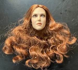Maßstab 1/6 weibliche Frau Mädchen rote Haare Kopf Skulptur braune Haare 12" Figur 057 - Bild 1 von 5