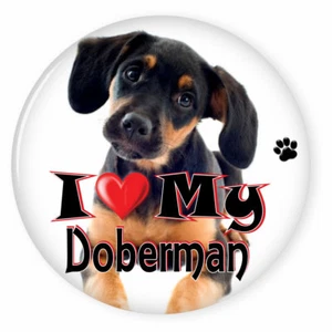 I LOVE MY DOBERMAN PERRO CACHORRO 3" PIN DE SEGURIDAD BOTÓN TRASERO - Imagen 1 de 2