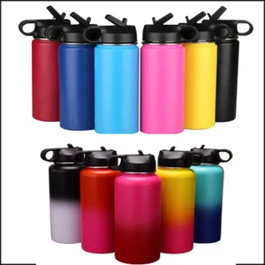   32oz Insulated Stainless Steel Water Bottle Flask Straw Lid High Quality - Picture 1 of 11