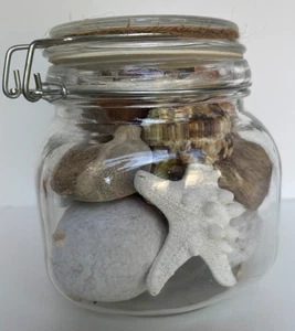 Deko Glas mit Muscheln, EUC - Bild 1 von 6
