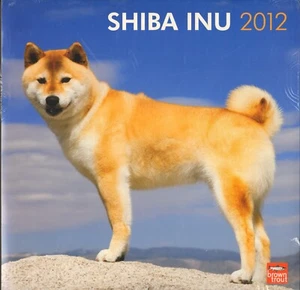 Shiba Inu Dog Calendar unused 2012 good again in 2040 Color Photos Arts & Crafts - Bild 1 von 2