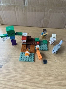 LEGO Minecraft: L'Avventura della Taiga (21162) - Foto 1 di 4