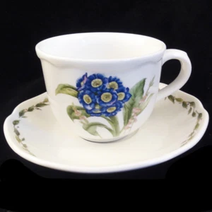 NORITAKE GOURMET GARDEN Tea Cup & Saucer NEW NEVER USED made in Sri Lanka - Picture 1 of 5