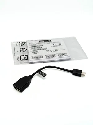 Lenovo Mini Display Port auf Display Port Adapter Mini DP zu DP Original NEU - Bild 1 von 2