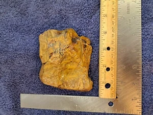 PETRIFIED FOSSIL WOOD TREE JASPERIZED COLORADO D1 BASIN PALEOCENE EPOCH 14.1 OZ - Picture 1 of 8