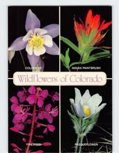 Postal Wildflowers of Colorado - Imagen 1 de 2