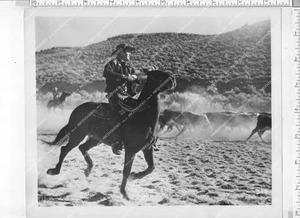 Jo-3244 1949 foto original Rod Cameron - película Stampede jo-3244 - Imagen 1 de 2