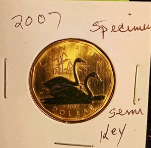 2007 Canada TRUMPeter Swan Loonie esemplare dollaro chiave data grande uccellino cigno moneta - Foto 1 di 5