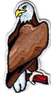 EAGLE Iron On Patch Birds - Picture 1 of 2
