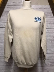 Maglione Lee Uomo Vintage Made in USA Beige Attish Mountain Village Taglia Media - Foto 1 di 8