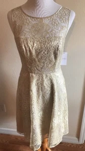 Jessica Simpson NEW Gold Womens Size 4 Lace Yoke Sheath Dress NWT $148 - Picture 1 of 12