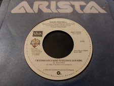 DAVID FRIZZELL * I'M GONNA HIRE A WINO TO DECORATE OUR HOME * 7" U.S. SINGLE
