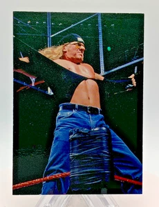 Immagini fumetti 1998 WWF Superstarz #16 Triple H - Foto 1 di 2