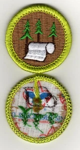 Pulp & Paper Merit Badge, Type L, "Since 1910" Back (2012-Current), Mint! - Picture 1 of 1