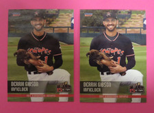 2- 2017 Choice, Albuquerque Isotopes - DERRIK GIBSON