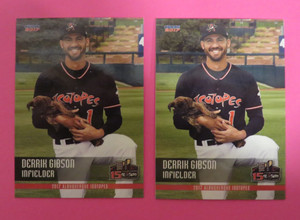 2- 2017 Choice, Albuquerque Isotopes - DERRIK GIBSON