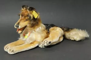 Alter Steiff Collie 2325.00 Stoffhund Stofftier Hund 31cm Steifftier KFS Schild - Bild 1 von 18