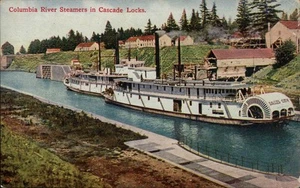 Oregon Columbia River Steamers in Cascade Locks OR Postcard - Picture 1 of 2