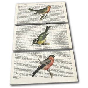 English Bird Vintage Retro Book Animals TREBLE CANVAS WALL ART Picture Print - Picture 1 of 1