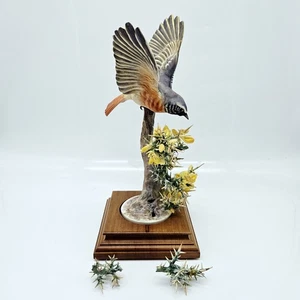 Estatuilla de porcelana Royal Worcester Redstart Ruticilla Bird DAÑADA con base - Imagen 1 de 17