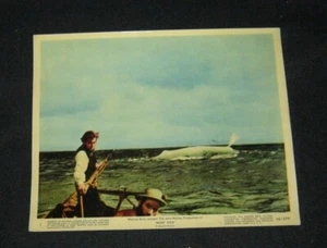 Original MOBY DICK 8X10 NSS Color Still #3 GREGORY PECK Leo Genn JOHN HUSTON - Bild 1 von 2