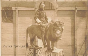1911 RPPC Peter Taylor Löwe Dämmerer Zirkus Rutland Messe VT Foto Postkarte selten - Bild 1 von 2