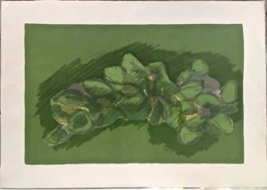 MORLOTTI ENNIO - LITOGRAFIA  50 X 70- firmata - " vegetazione " - Bild 1 von 6