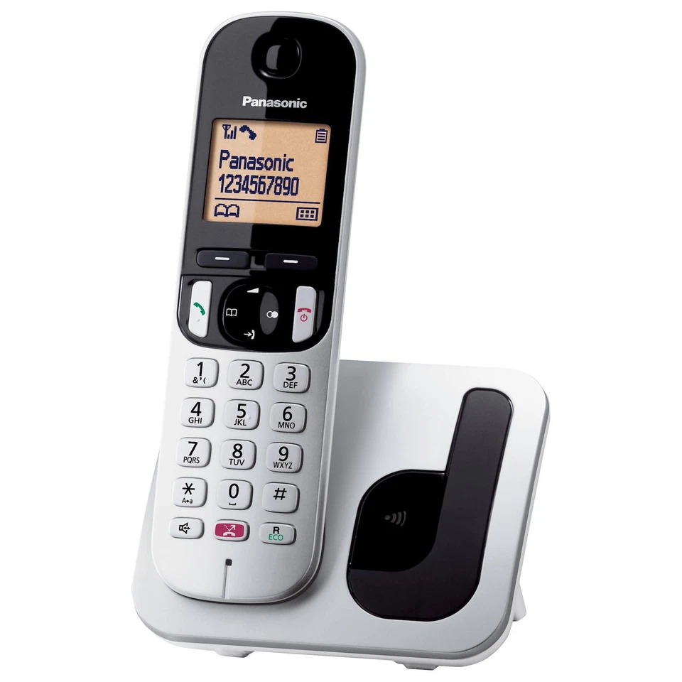 Panasonic KX-TGC250JTS Telefono Cordless DECT Nero/Argento con ID Chiamante e Vi