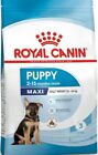 Royal Canin Puppy Maxi 2-15 Months 4 KG Croquettes For Dog Slice Big 26/44 KG