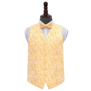 Conjunto de chaleco y pajarita de boda floral tejido dorado para hombre S-5XL - Imagen 1 de 4