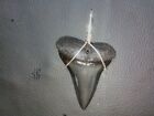Beefy 2.1  Mako Sharks Tooth Pendant With Sterling Silver Hand Wrap