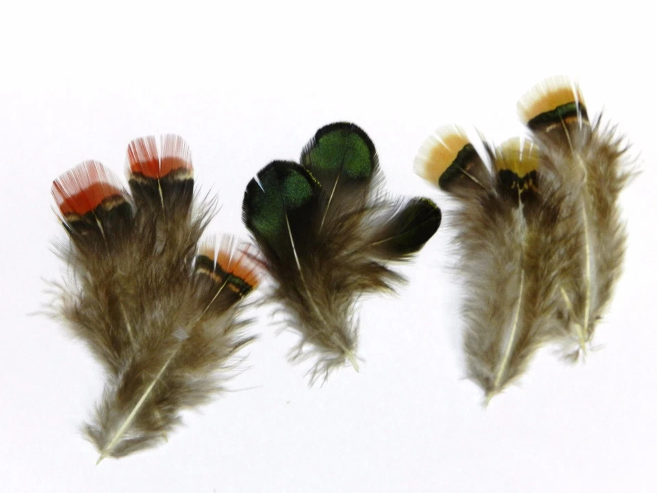 DAMA NATURAL AMHERST FAISÁN CUERPO PLUMAS ATAR MOSCAS TÚ ELIGES EL COLOR Foto 1 de 1