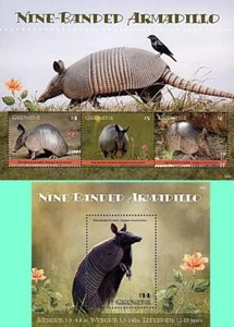 π GRENADA 2019 ARMADILLO S/S + M/S MNH ** ** ANIMALS BIRDS - Picture 1 of 1