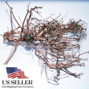NATÜRLICHES TREIBHOLZ #BS005 WYSIWYG - AQUASCAPING, SUPER PREIS!!! BONSAI BAUMSCHMUCK - Bild 1 von 6