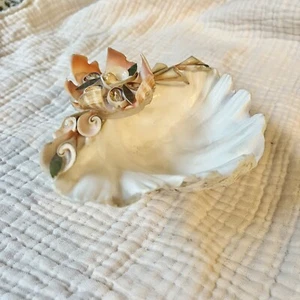 Handgefertigte Mid Century Cluster Muschel Muschel Blume Kunst Muschel Schale 6" MCM Böhmisch - Bild 1 von 6