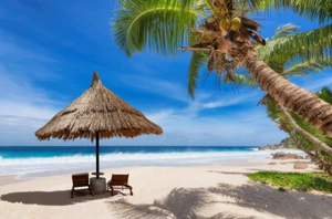 Beautiful Beach Scenery with Palm tree Blue Sky High Quality Poster Free Deliver - Picture 1 of 1