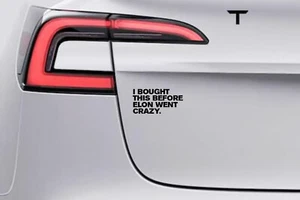 Aufkleber Sticker Auto Tesla 10cm x 5cm "I BOUGHT THIS BEFORE ELON WENT CRAZY." - Bild 1 von 1
