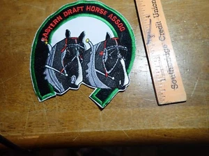 PARCHE CLIDESDALE ASOCIACIÓN CABALLOS WOKING DRAFT DEL ESTE BX 11#5 - Imagen 1 de 2