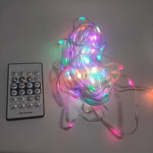 10M Led Flagpole Light String Bulbs USB, Remote or App or Voice Controlled - Picture 1 of 8