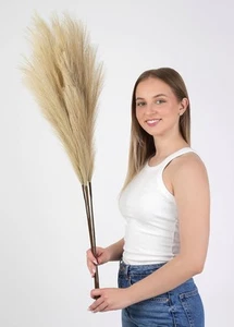 SOROLA Pampas Erba Grande Artificiale 4 Steli - 40 Pollici/100cm Soffice Morbida Beige - Foto 1 di 4