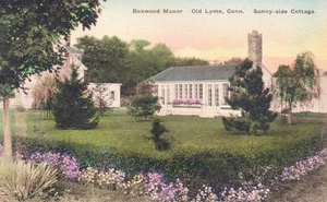 Boxwood Manor Old Lyme CT Connecticut Postcard - Picture 1 of 2