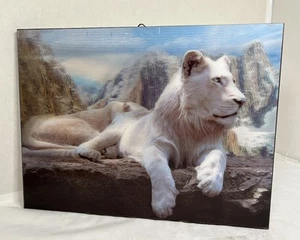 Holographic 3D White Lion Wall Hanging Matted Picture 15 1/2”X 11 3/4” Life Like - Picture 1 of 6