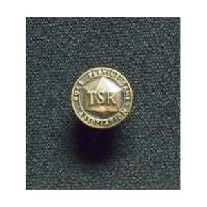 TSR RPGA TSR-RPGA Anstecknadel sehr guter Zustand+ - Bild 1 von 2