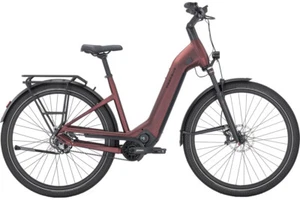 Pegasus Estremo Evo 12 Lite, Damen Wave 55 cm, Achtung Modell 2025, ruby red met - Bild 1 von 1