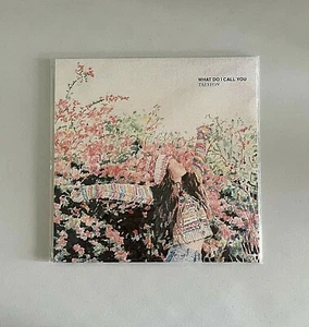 TAEYEON 'WHAT DO I CALL YOU' EDIZIONE LIMITATA UFFICIALE VINILE SIGILLATO IN ... - Foto 1 di 9