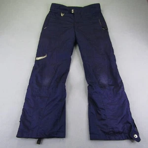 Vintage Spyder Pants Mens Large Purple Ski Snowboarding Winter Snow Thinsulate - Picture 1 of 17