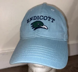 ENDICOTT GULLS  Blue/Green Adjustable Hat (OSFM) Gulls Logo - Picture 1 of 8